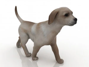 cachorro Modelo 3D