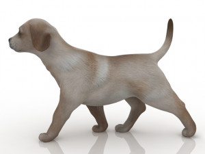 dog 3D Модель