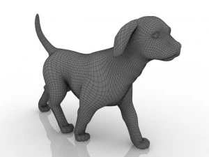 dog 3D Model