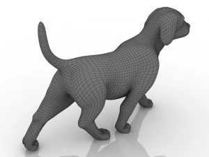 dog 3D Model