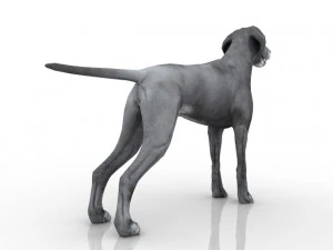 dog 3D Model