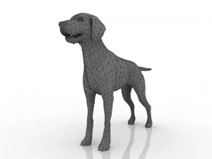 dog 3D Model