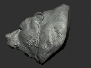 bear bust Model 3D