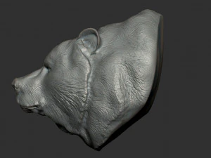 bear bust 3D Model