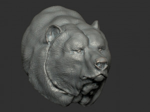 bear bust Model 3D