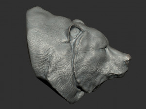 bear bust Model 3D