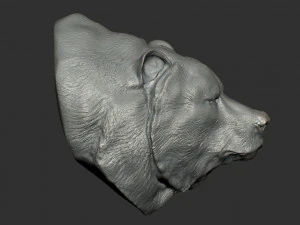 bear bust 3D Model