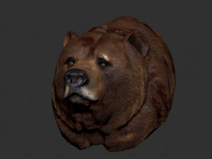 bear bust Model 3D