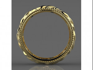 ring Model 3D