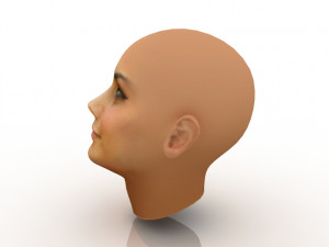 female head Modèle 3D