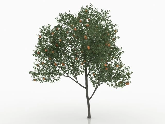 şeftali ağacı 3D Model .c4d .max .obj .3ds .fbx .stl .blend 