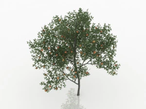 şeftali ağacı 3D Model
