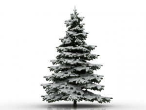 spruce tree with snow Modelo 3D