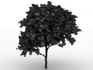 avocado tree 3D Model
