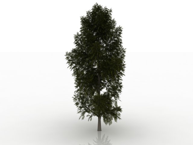 larch tree 3D Model .c4d .max .obj .3ds .fbx .stl .blend 