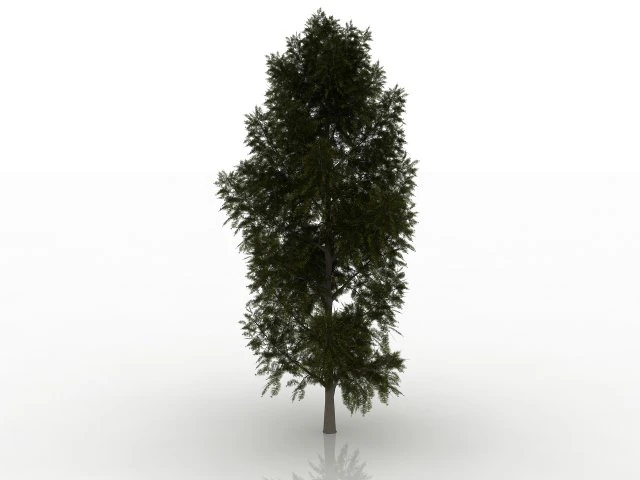 modrzew Model 3D .c4d .max .obj .3ds .fbx .stl .blend