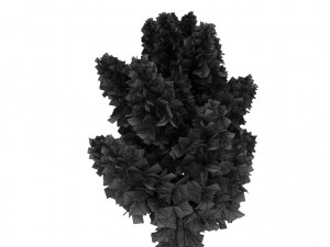 larch tree 3D Model