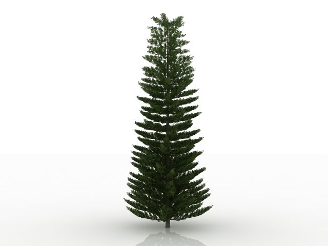 island pine 3D 模型 .c4d .max .obj .3ds .fbx .stl .blend 