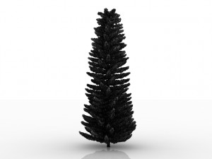 island pine 3D 模型