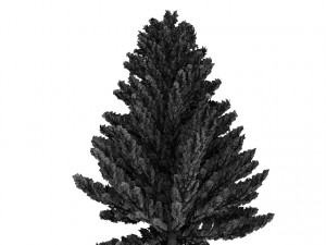 island pine 3D 模型