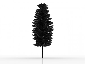 island pine Modelo 3D