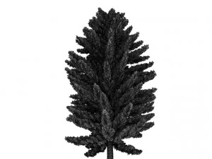 island pine 3D Model