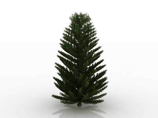 island pine Modelo 3D .c4d .max .obj .3ds .fbx .stl .blend