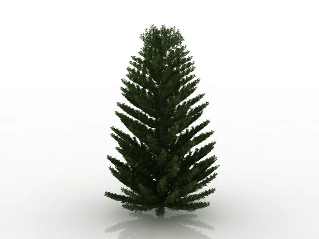 island pine 3D Model .c4d .max .obj .3ds .fbx .stl .blend 