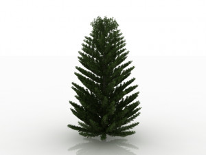 island pine 3D Model