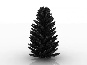 island pine 3D Model