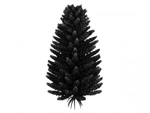 island pine Modelo 3D