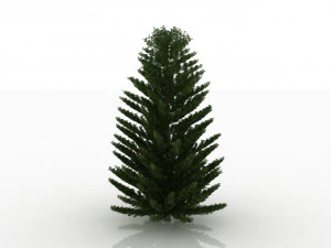 island pine 3D Model