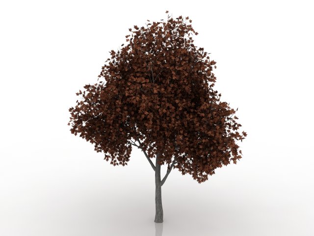 maple tree 3D Model .c4d .max .obj .3ds .fbx .stl .blend 