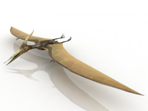 pterodactyl 3D Model