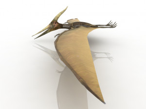 pterodactyl Modello 3D