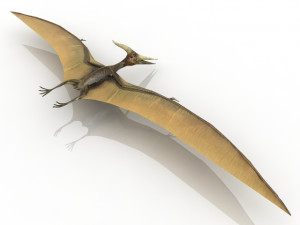 pterodactyl Modello 3D