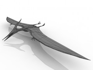 pterodactyl Modello 3D