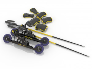 roller skis 3D Model