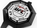 UFC Fighting Arena 3D Model