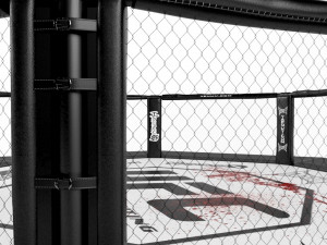 ufc fighting arena Model 3D
