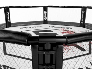 ufc fighting arena Model 3D