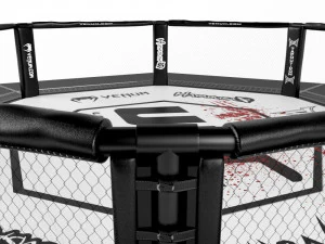 ufc fighting arena 3D Model
