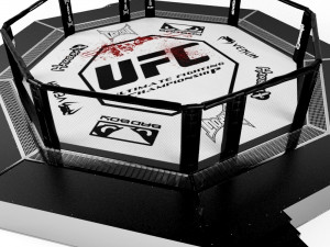 ufc fighting arena Model 3D