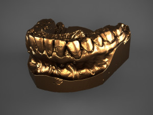 plaster teeth 3D Model