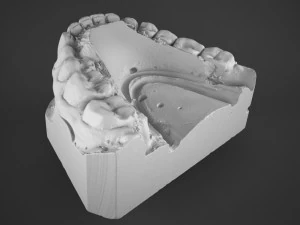 plaster teeth 3D Model