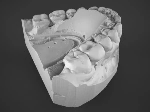 plaster teeth 3D Model