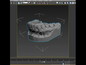 plaster teeth 3D Model