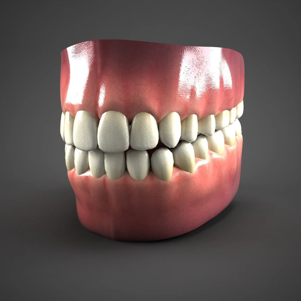 realistic mouth teeth tongue 3D Model .c4d .max .obj .3ds .fbx .stl .blend 