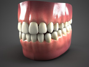 realistic mouth teeth tongue 3D Model