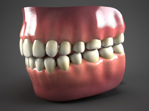 realistic mouth teeth tongue Model 3D